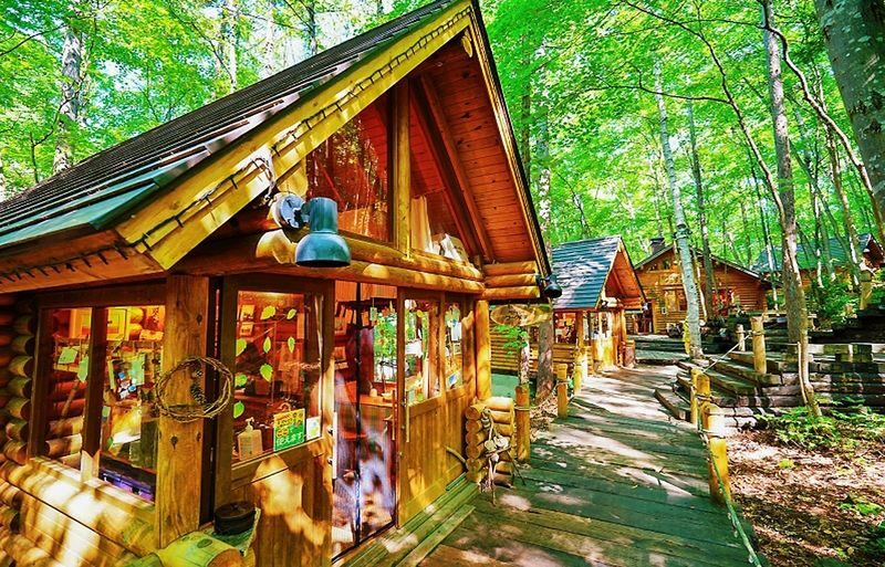Sapporo Asahiyama Zoo & Forest Elf Terrace Day Tour - What a good guide adds