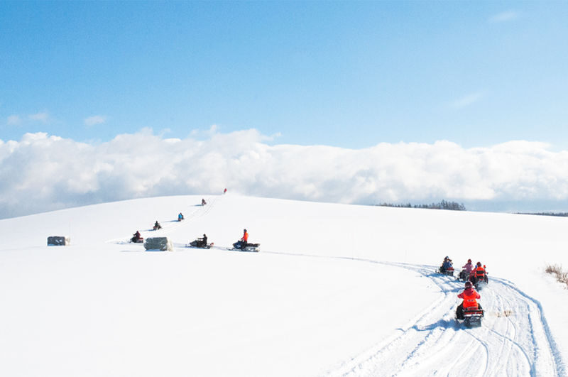 Sapporo Asahiyama Zoo & Forest Elf Terrace Winter Tour - Should you book the Sapporo winter tour?