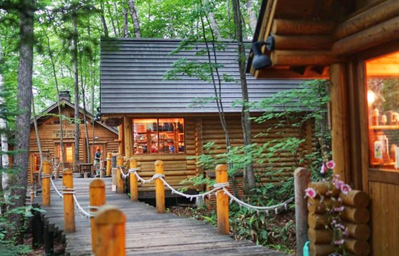 Sapporo Biei Blue Pond & Shikisai no Oka Full-Day Flower Tour - Plan around the details that are not stated