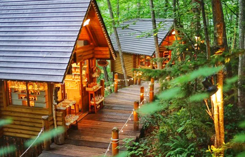 Sapporo Biei Blue Pond & Shikisai no Oka Full-Day Flower Tour - Should you book this Biei and flower-field day?