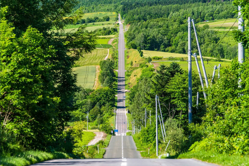 Sapporo Biei & Furano Private Full-Day Tour - Private touring, with the right questions asked