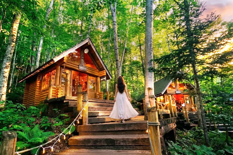 Sapporo Biei & Furano Private Full-Day Tour - Who should book this day trip?