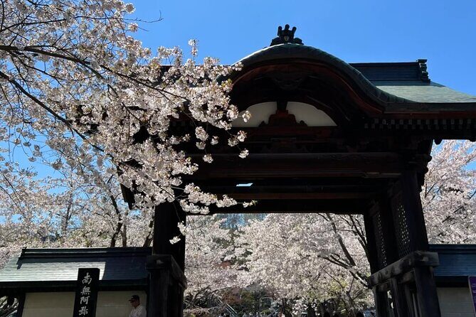 Sapporo City Cherry Blossom Private Sightseeing Tour - A Closer Look at the Sapporo Cherry Blossom Tour