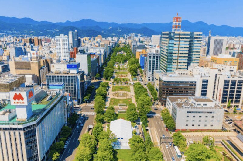 Sapporo: City Highlights Guided Tour with Local Guide - Why This Tour Works Well