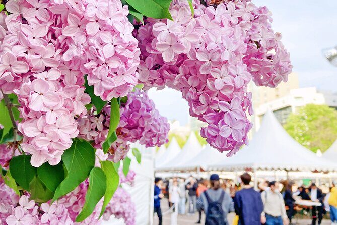 Sapporo City Tour and Seasonal Events in Odori Park Exploration - Who Will Love This Tour?