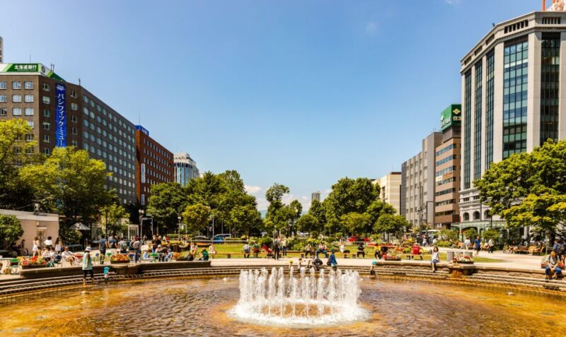 Sapporo: Custom Highlights and Hidden Gems Tour with a Local - Key Points