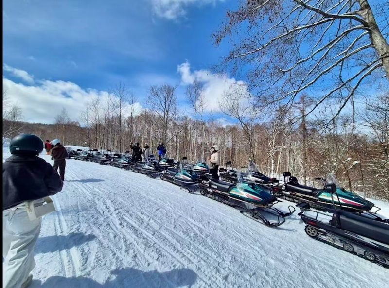 Sapporo Departure: Day Trip to Big Buddha, Jozankei, Lake Toya & Noboribetsu: Volcano/Lake View/Winter Snowmobiling - Who should book this Sapporo day trip?