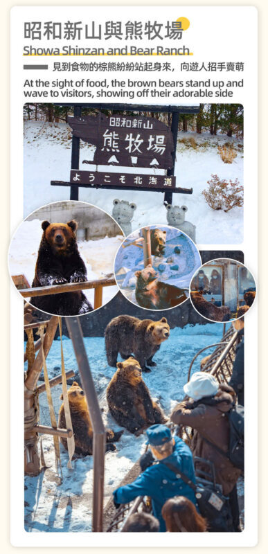 Sapporo Departure: Lake Toya & Otaru Canal One-Day Bus Tour - Is $61.35 good value?