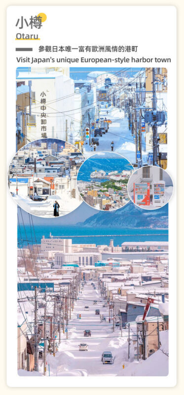 Sapporo Departure: Lake Toya & Otaru Canal One-Day Bus Tour - Who should take this tour?