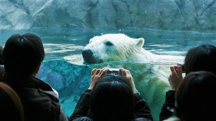 Sapporo Farm Tomita & Blue Pond Full-Day Tour - What the Sapporo day trip covers