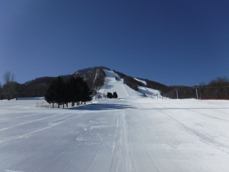 Sapporo Fujino Fus Snow Area Rental skis & wear - Where to start: the Family and Crystal courses