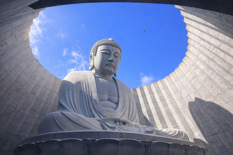 Sapporo Full-Day City Highlights Experience with Shopping - What to know before you go