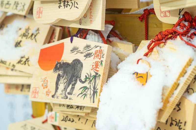 Sapporo Full-Day City Highlights Experience with Shopping - A full day that links city sights, nature and shopping