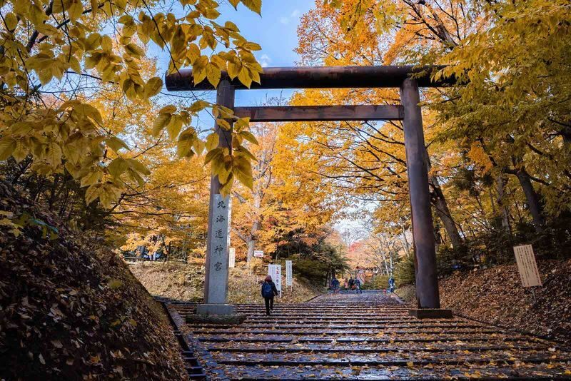 Sapporo Full-Day City Highlights Experience with Shopping - Hokkaido Jingu and the wider Sapporo-area sights