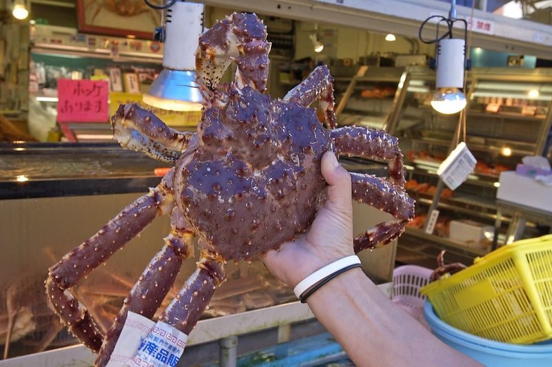 Sapporo Full-Day City Highlights Experience with Shopping - Who will get the most from this day