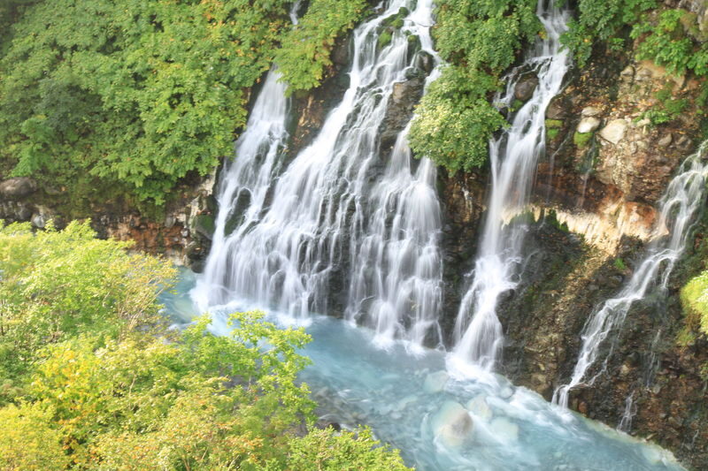 Sapporo Full-Day Furano & Biei Lavender Experience - Guides who turn transfers into useful time