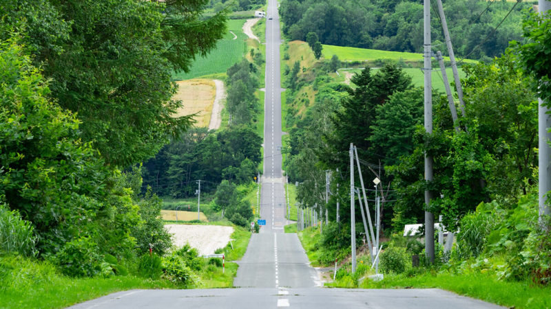 Sapporo Full-Day Furano & Biei Lavender Experience - The cost of seeing so much in one day