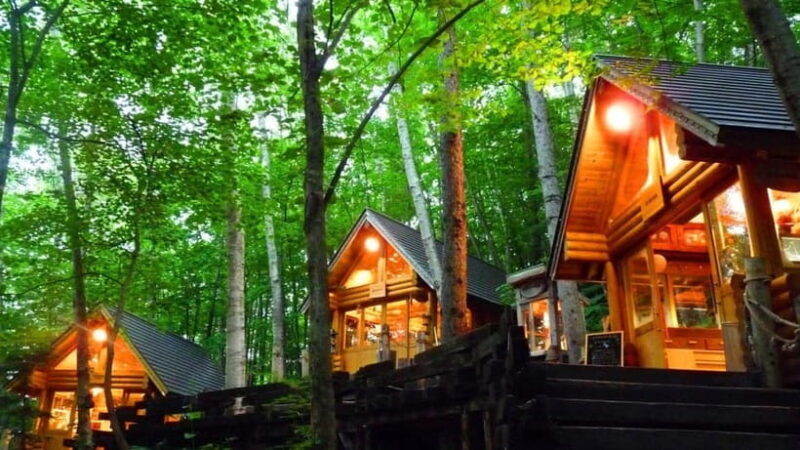 Sapporo: Furano Flower Sea & Biei Blue Pond Tour w/ Pickup - Final Thoughts: Who Should Consider This Tour?