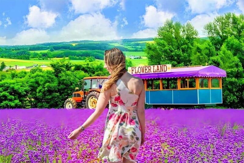 Sapporo: Furano Lavender & Biei Blue Pond Tour with Lunch - A Detailed Look at the Tour Experience