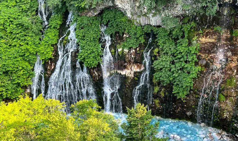 Sapporo, Furano, Toya Lake, Otaru Full-Day Private Tour - What the driver detail tells you
