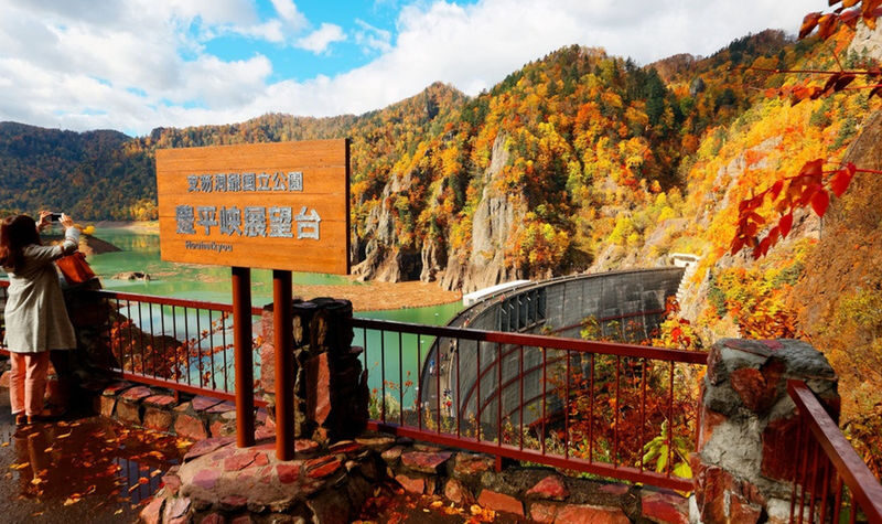 Sapporo, Furano, Toya Lake, Otaru Full-Day Private Tour - Who is likely to get the most from this tour