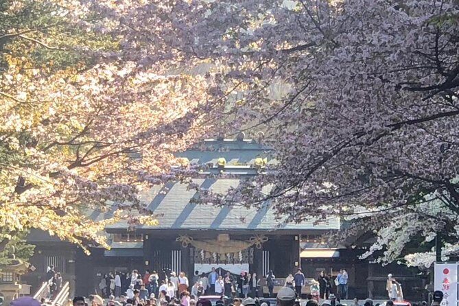 [Sapporo] Go by private car! Takino Cemetery, Hokkaido Shrine, Shiroi Koibito Park - [Sapporo] Go by private car! Takino Cemetery, Hokkaido Shrine, Shiroi Koibito Park