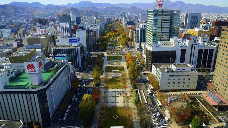 Sapporo Half-day Bus Tour and TV Tower Ticket (Multilingual Audio) - A bus that saves effort, not sightseeing time
