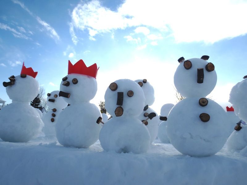 Sapporo Half-day Bus Tour and TV Tower Ticket (Multilingual Audio) - Should you book this Sapporo bus tour?