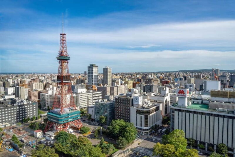 Sapporo Highlights: Golden Route Morning Guided Walking Tour - Who Should Choose This Tour?
