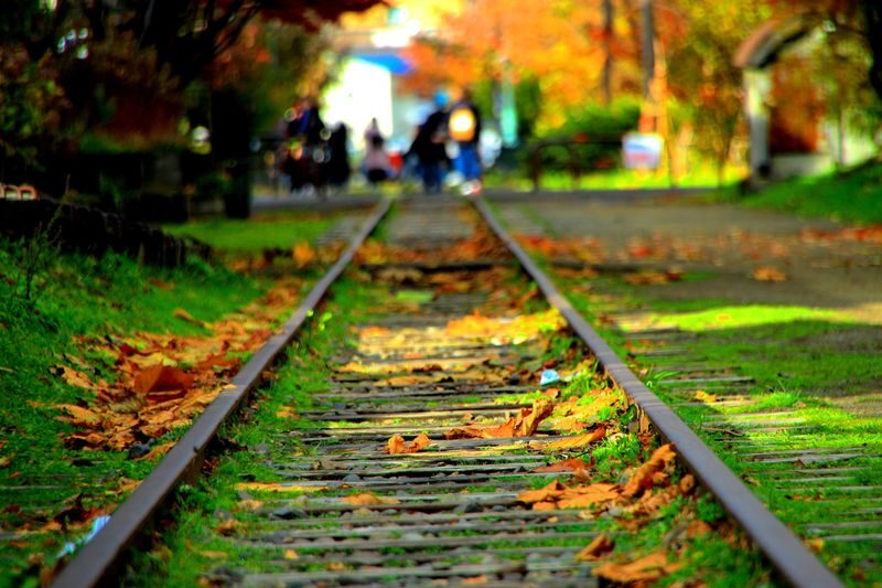 Sapporo Hill of the Buddha, Shrine & Otaru One-Day Tour - Guides can turn free time into better free time