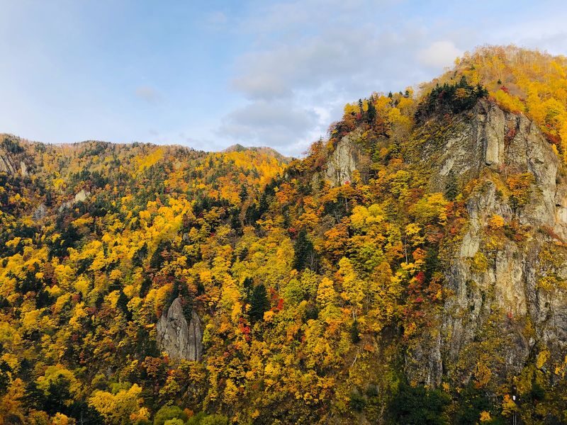Sapporo Hill of the Buddha & Takino Autumn Cosmos & Mt. Hakkengenzan Genghis Khan BBQ & Jozankei Hoheikyo Autumn Leaves Day Trip - A day built around contrasts