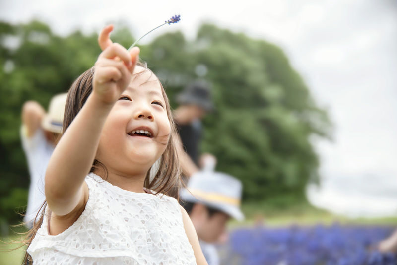 Sapporo Hitsujigaoka Observation Hill - Hours, access, and practical planning