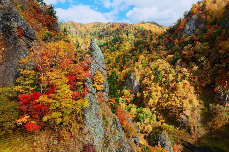 Sapporo Hoheikyo Dam, Jozankei, & Lake Shikotsu Full-Day Tour with Yamasen Bridge - Lake Shikotsu: the day’s big nature payoff