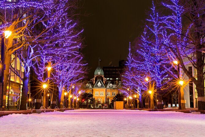 Sapporo: Illuminated Landmarks and TV Tower Night View Tour - Sapporo: Illuminated Landmarks and TV Tower Night View Tour — A Practical Guide for Nighttime Explorers