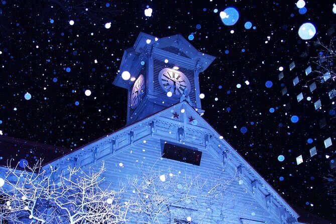 Sapporo: Illuminated Landmarks and TV Tower Night View Tour - Exploring the Details of the Tour Experience