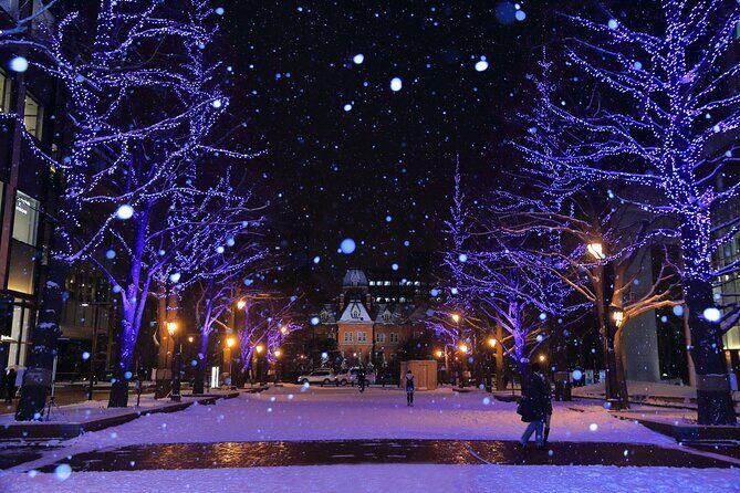 Sapporo: Illuminated Landmarks and TV Tower Night View Tour - Who Should Consider This Tour?