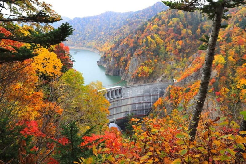 Sapporo in Autumn: Hoheikyo Dam and Hoheikyo Onsen Tour - Exploring the Tour in Detail
