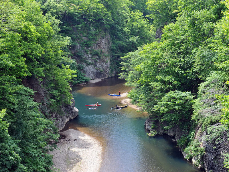 Sapporo Jozankei Half-Day Kayaking Experience - What happens during the one-hour paddle