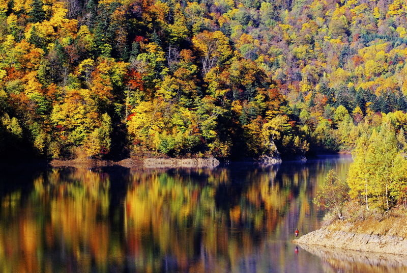 Sapporo Jozankei, Hoheikyo & Lake Toya Full-Day Tour with Autumn Leaves - What to know before you book