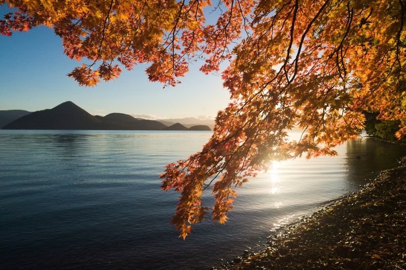 Sapporo Jozankei, Hoheikyo & Lake Toya Full-Day Tour with Autumn Leaves - Three Hokkaido stops in one day