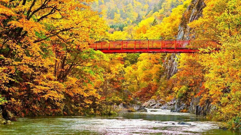 Sapporo Jozankei, Hoheikyo & Lake Toya Full-Day Tour with Autumn Leaves - Who will enjoy this day most