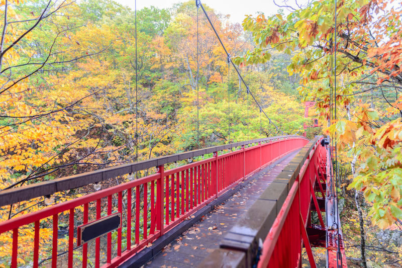 Sapporo Jozankei, Hoheikyo & Lake Toya Full-Day Tour with Autumn Leaves - Booking and cancellation details