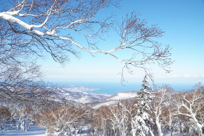 Sapporo Kokusai Ski Resort Lift Ticket (6hours) & Round Trip Bus - Five hours to ski, ride, or play in the snow