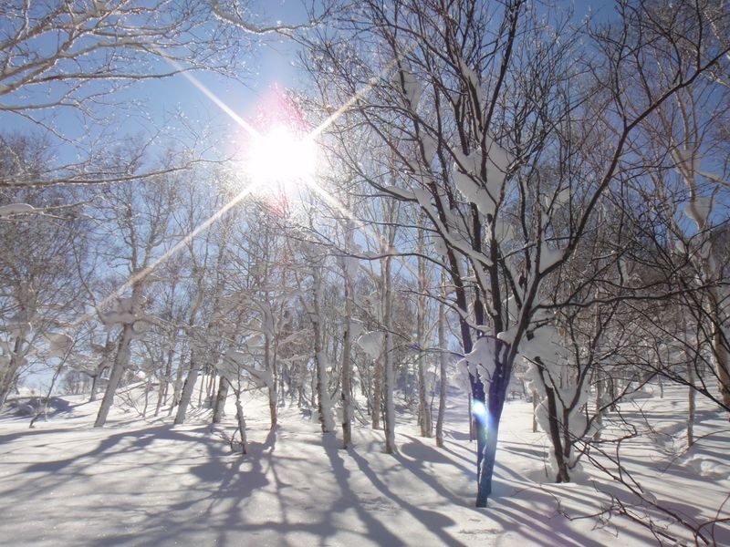 Sapporo Kokusai Ski Resort Lift Ticket with Equipment Rental - Who will get the most from Sapporo Kokusai?