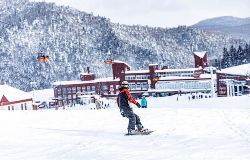 Sapporo Kokusai Ski Resort One-Day Tour (Includes round-trip transfer from Sapporo city, ski equipment rental, and optional ski lessons) - Rentals and lessons: helpful, but allow time