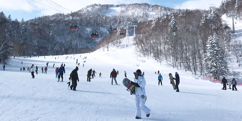 Sapporo Kokusai Ski Resort Skiing/Snow Fun Day Trip from Sapporo - What the price buys, and what it may not