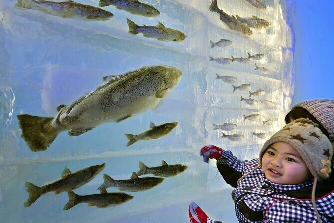 Sapporo: Lake Shikotsu Ice Festival & Hot Spring Day Trip - FAQ