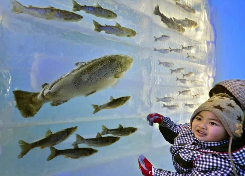 Sapporo: Lake Shikotsu Ice Festival & Hot Spring Day Trip - Sapporo: Lake Shikotsu Ice Festival & Hot Spring Day Trip — A Complete Guide