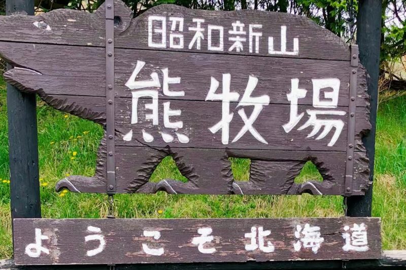 Sapporo Lake Toya & Lake Shikotsu Day Tour (including fireworks) - Fireworks over Lake Toya: the finale, with a caveat