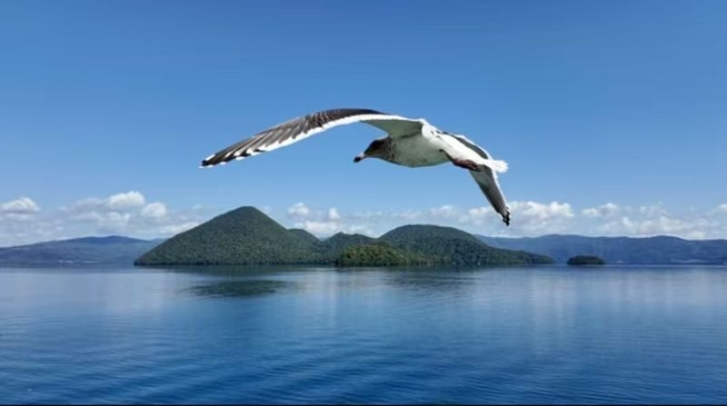 Sapporo Lake Toya & Showa Shinzan Full-Day Small Group Tour - Mt. Usu: the day’s biggest view